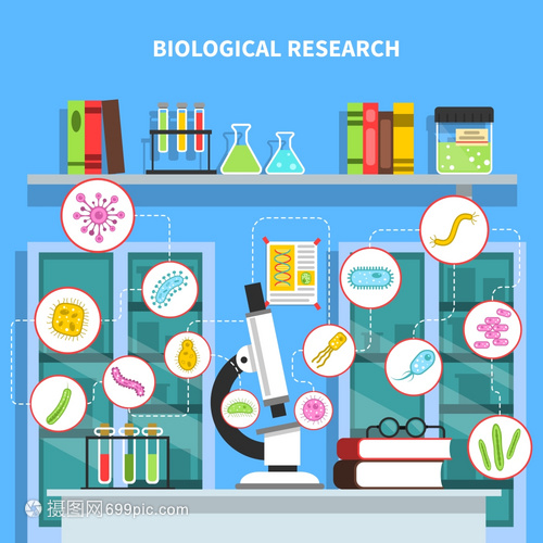 微生物學插圖 探秘微生物實驗室與細菌研究設(shè)備的矢量世界