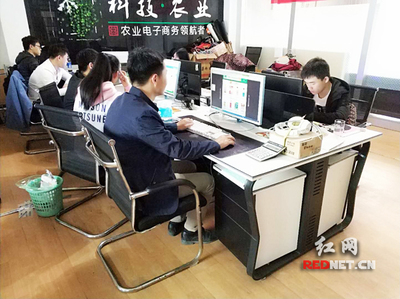 輸血變造血 衡陽市雁峰區(qū)以計算機技術培訓為抓手，走深走實產業(yè)扶貧路